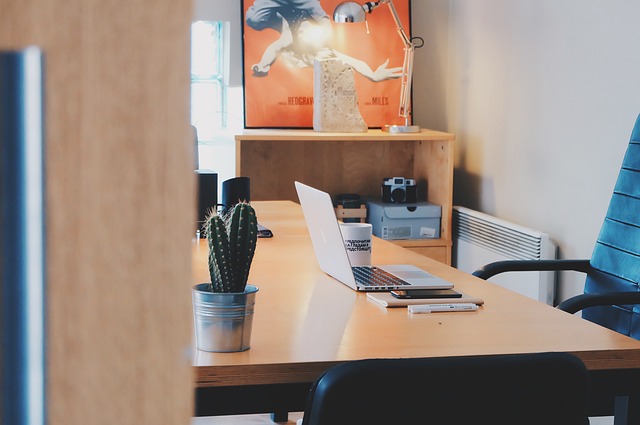 kaktus, notebook, židle, kancelář